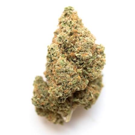 KILLER KUSH